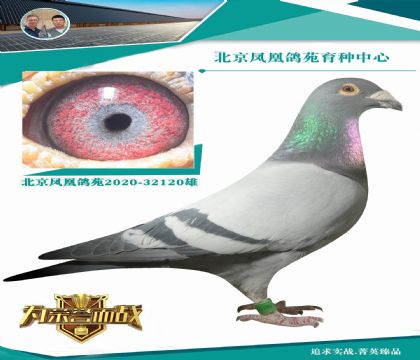 �����������F�ҡ�����õĿ��������F�Ҽ���