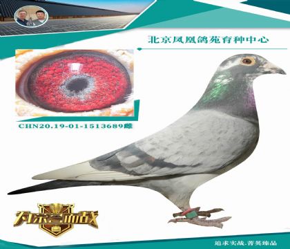 �����_��X���۴ơ�ֱ�OX���ؠ�ȫ����