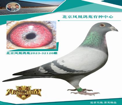 �W��ƥ��006�H�ֵܡ�����̖(h��o)��ֱ��X(ju��)�׵����û��OŮ