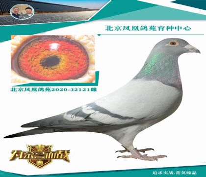 ���᠖���ɶ�õĳ���(j��)�� ���᠖���C(j��)X���᠖�����š�