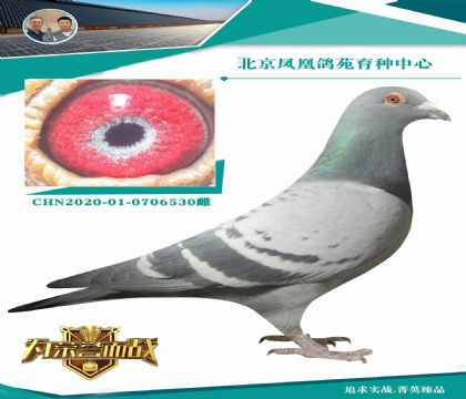 �^�o(w��)�H��20W���M(j��n)ֱ��X(ju��)�ش��(y��ng)�˵�����˹ղɭ