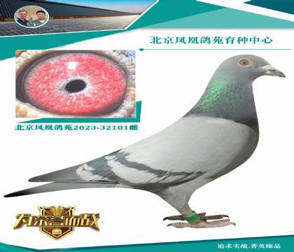 �����ؠ�848�����ؠ�ֱ�ӣ���X���ǲ���9992��40000