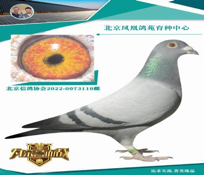 ���^��ǰ�����(��i) ����(j��)��(sh��)��(zh��n)������