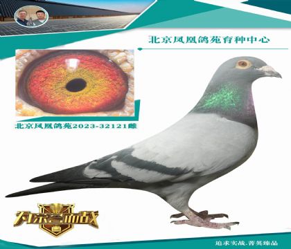 �(zh��n)������f(w��n)�¾S�������ߚw��(l��i)��X�_��.̩˹