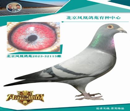 ����ָ�����؂� һ�P(gu��n)�ϰ�ϵ �ش��(y��ng)�˵�����˹ղɭ