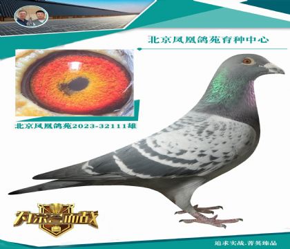 �����W003����Ѫ�OX��ƿˊW��ƥ�˻���ֱŮ