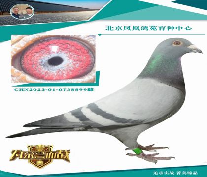 15�f(w��n)���M(j��n)����.�ϲ���X���ұȠ��ơ� ���ǲ���