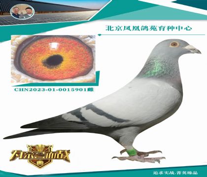 �؄e��(y��u)�� ����(gu��)�����ٶȻʺ󳬼�(j��)��Ѫ