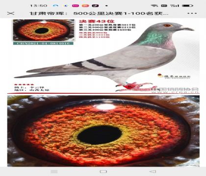 ���C�ە�����Qِ43��