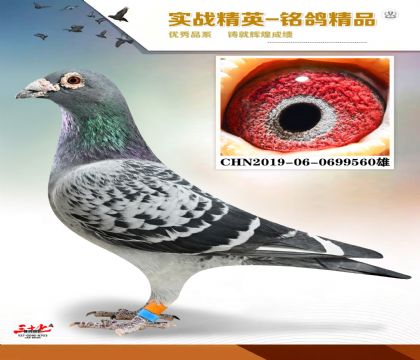 MEITU_20260112_125409790