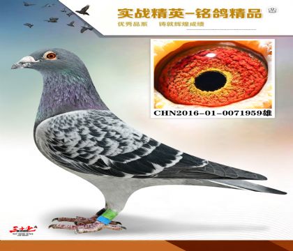 MEITU_20260112_130958111