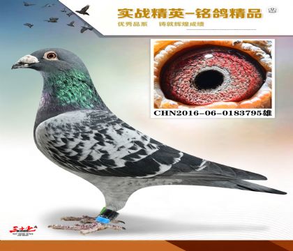 MEITU_20260112_131043086