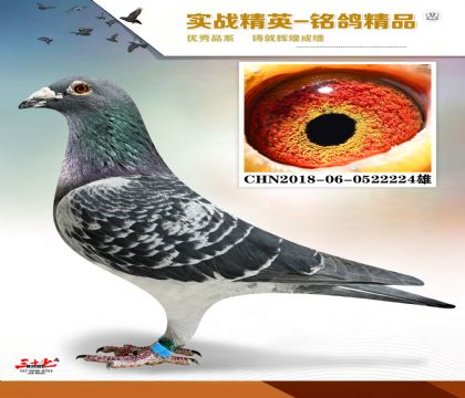 MEITU_20260112_131111396