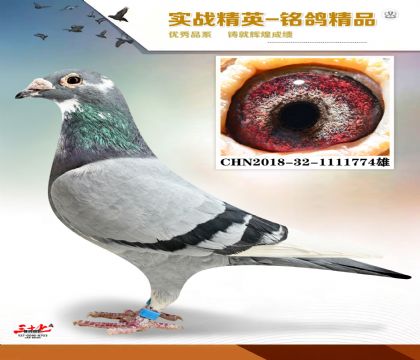 MEITU_20260112_131136208