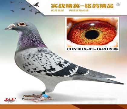 MEITU_20260112_131156307