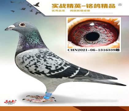 MEITU_20260112_131216828