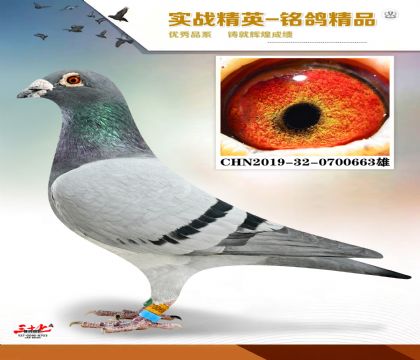 MEITU_20260112_131300889