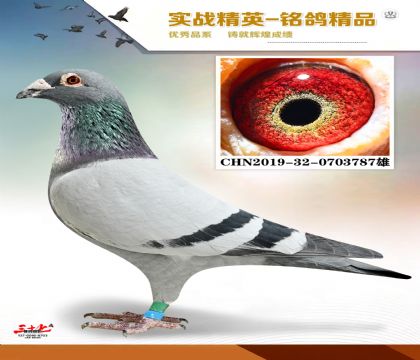 MEITU_20260112_131340097