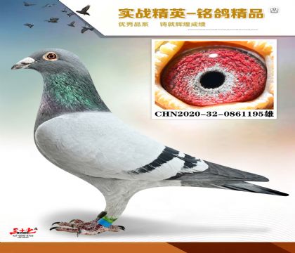 MEITU_20260112_131359801