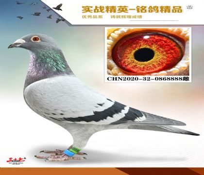 MEITU_20260112_131425924