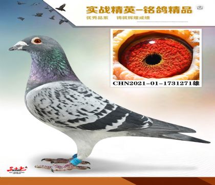 MEITU_20260112_131444601