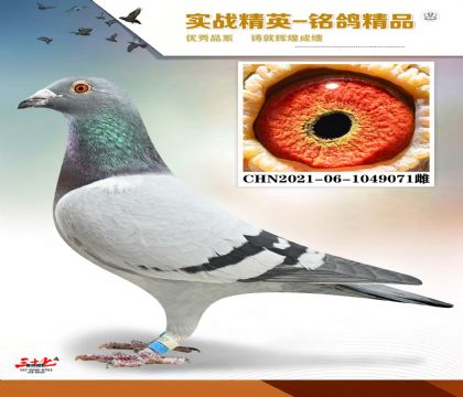 MEITU_20260112_131502608