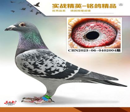 MEITU_20260112_131624898