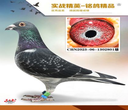 MEITU_20260112_131758168