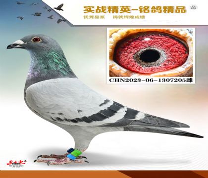 MEITU_20260112_131817406