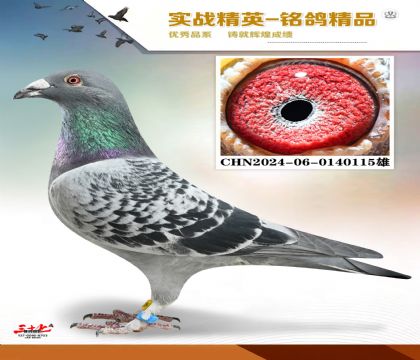 MEITU_20260112_131855473