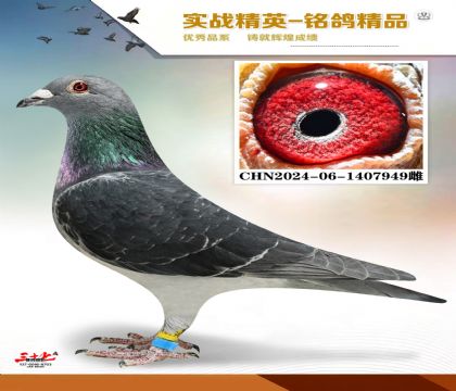 MEITU_20260112_131918964