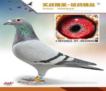 MEITU_20260112_131937697