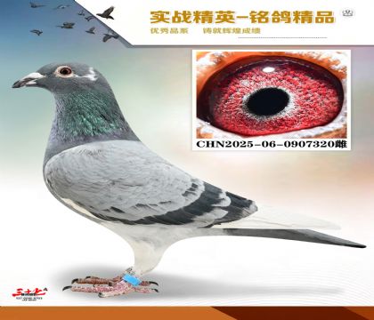 MEITU_20260112_131955139