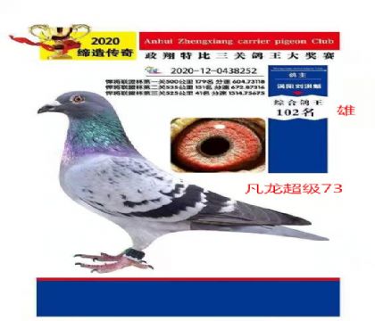 ���������رȭh(hu��n)���P(gu��n)����102����������(j��)73