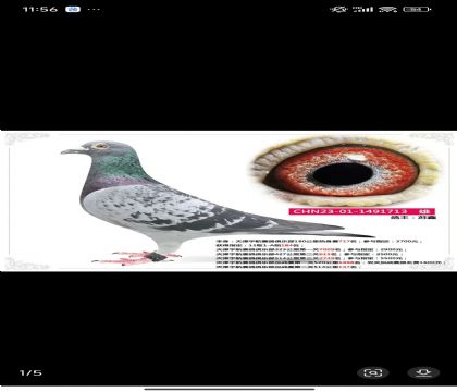 ���������վِ147��