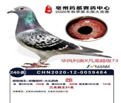 ����ˎ������Qِ240���A�L(f��ng)���WX����(j��)73