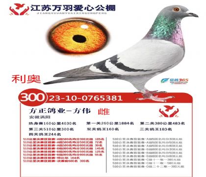 ���K�f(w��n)���(��i)�Ĺ���Qِ300�����W