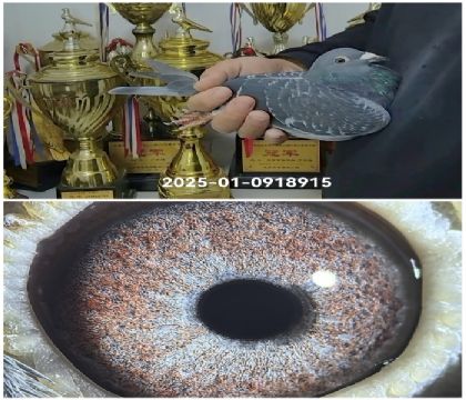 �w��25-0918915