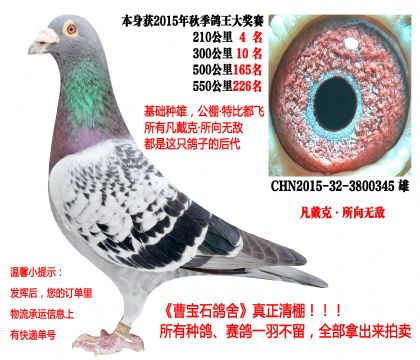 ���A(ch��)�N���������ˡ�����o����15�����ۣ�