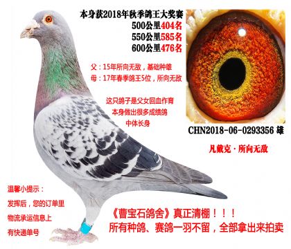 �����ˡ�����o�����H��18�����P(gu��n)�ɿ�(j��)����