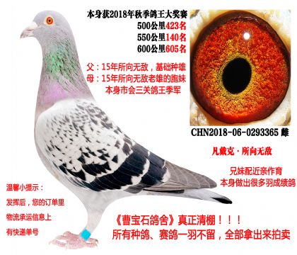 �����ˡ�����o�����H��18�����P(gu��n)�ɿ�(j��)����