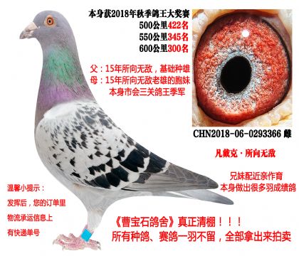 �����ˡ�����o�����H��18�����P(gu��n)�ɿ�(j��)����