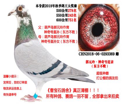 ����̖(h��o)���H���|��������18�����P(gu��n)�ɿ�(j��)��