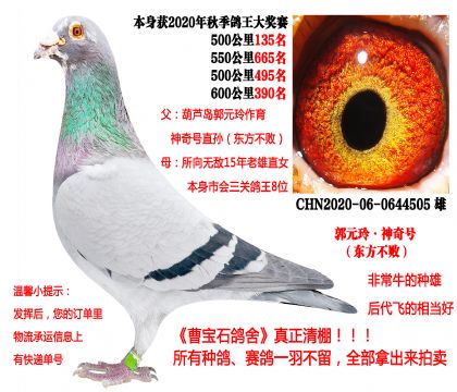 �|������x����o����20�����P(gu��n)�ɿ�(j��)����