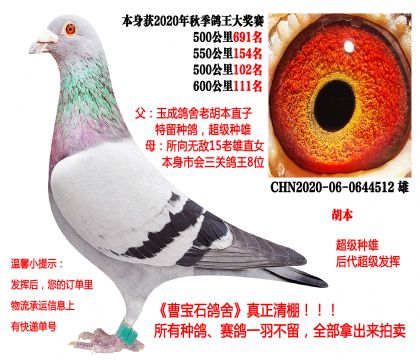 ����x����o����20�����P(gu��n)�ɿ�(j��)����