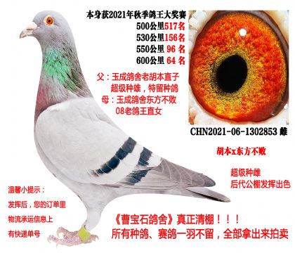 ����x�|������������21�����P(gu��n)�ɿ�(j��)����