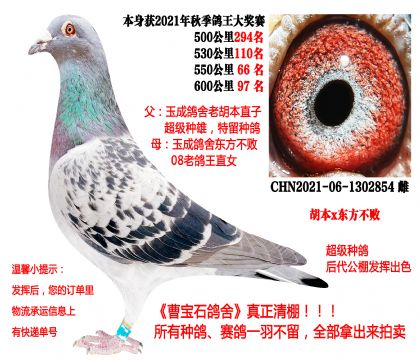 ����x�|������������21�����P(gu��n)�ɿ�(j��)����