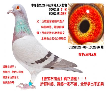 ����x����o��������21��550����7���ȣ�