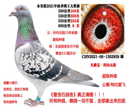 �����ˡ�����o��������21�����P(gu��n)�ɿ�(j��)����600����8����