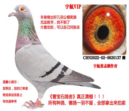 �VIP�����־��������